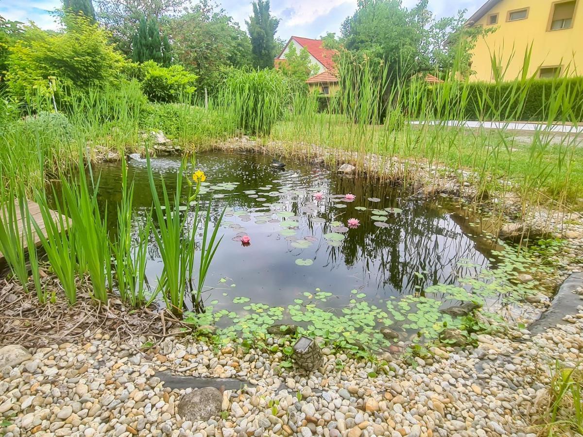 Ditlin Apartmanok Papa Luaran gambar